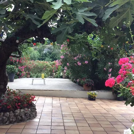 Le Jardin * Saint-Martin-dʼArdèche