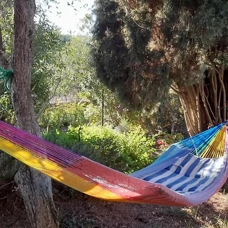 Le Jardin Hébergement de vacances *