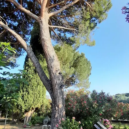 Le Jardin * Saint-Martin-dʼArdèche